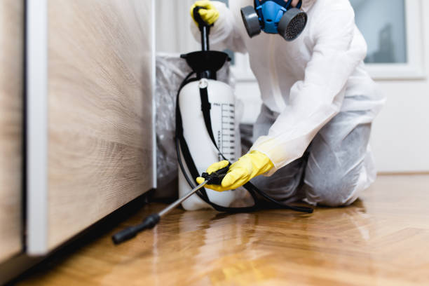Professional Pest Control in Lyons, WI