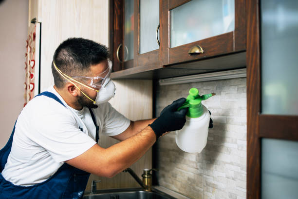 Flea Control Services in Lyons, WI