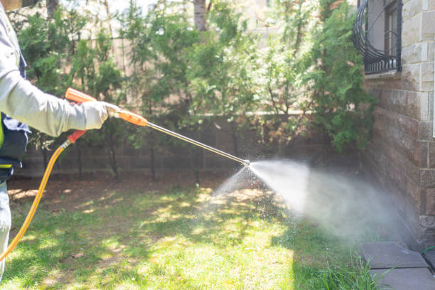 Best Local Pest Control Services  in Lyons, WI