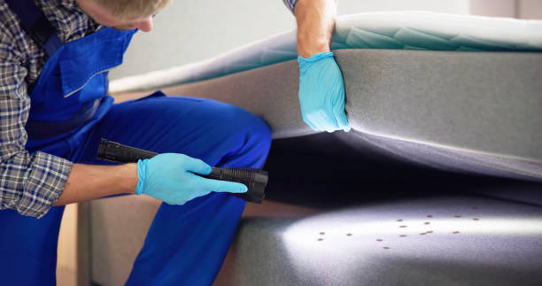 Best Affordable Pest Control Services  in Lyons, WI