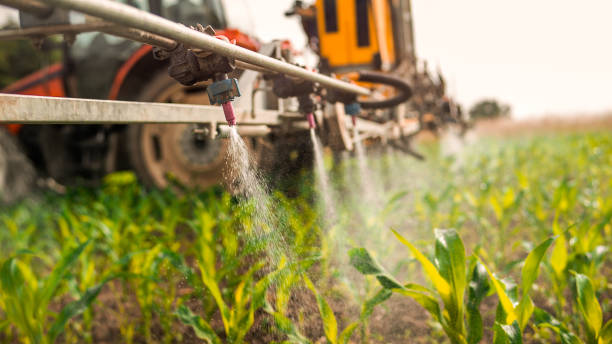 Best Wildlife Control Services  in Lyons, WI